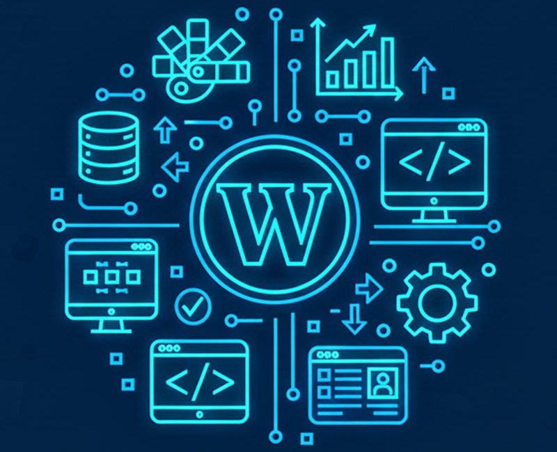 digital-marketing-services-illinois